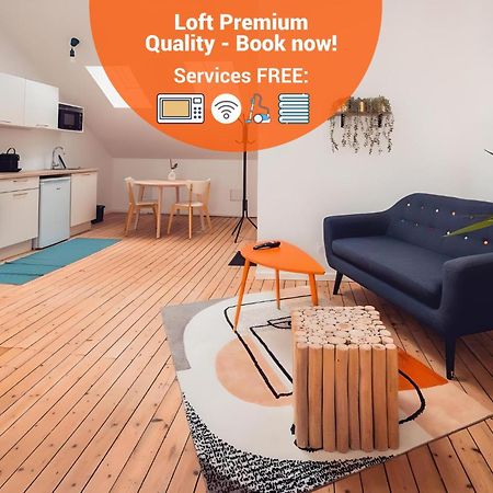 Loft Lumineux Tres Spacieux - Parking Gratuit Шатору Екстер'єр фото